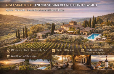 Greve in Chianti, ,Rural Estate,For Sale,1100