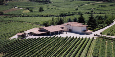 Rovereto, ,Cellar and Vineyard,For Sale,1101