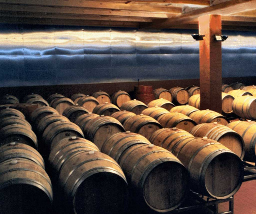 Rovereto, ,Cellar and Vineyard,For Sale,1101