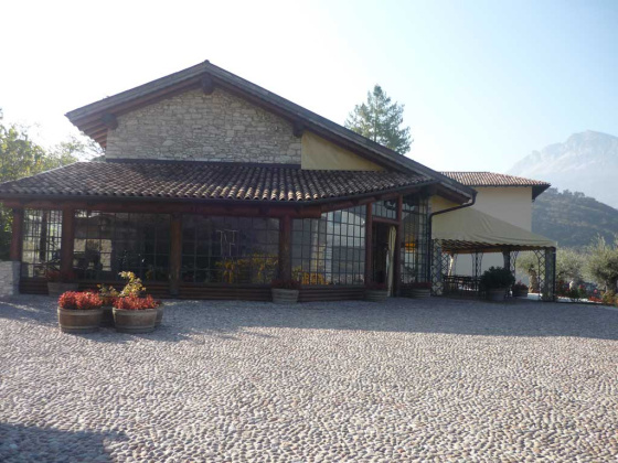 Rovereto, ,Cellar and Vineyard,For Sale,1101