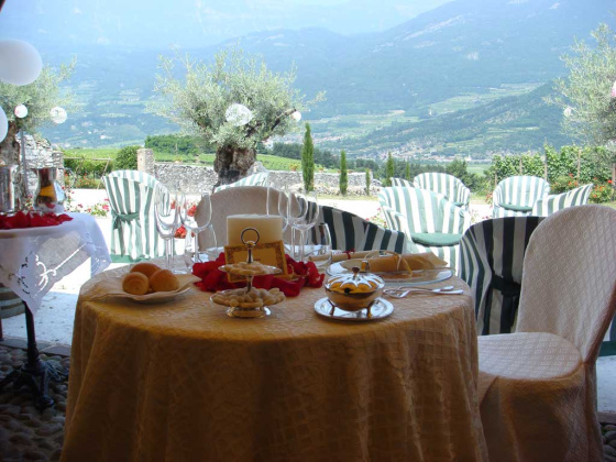 Rovereto, ,Cellar and Vineyard,For Sale,1101