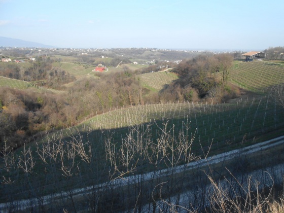 Collalto, ,Rural Estate,For Sale,1010