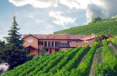 Calamandrana, ,Rural Estate,For Sale,1013