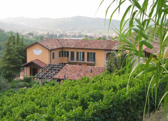 Calamandrana, ,Rural Estate,For Sale,1013