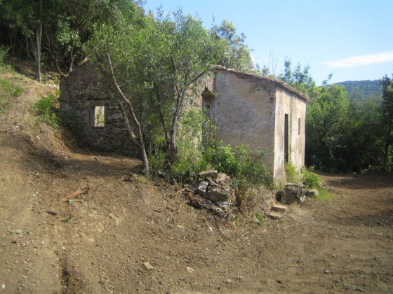 Portoferrario, ,Rural Estate,For Sale,1016