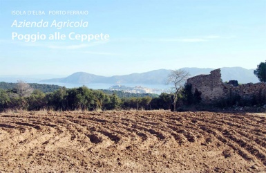 Portoferrario, ,Rural Estate,For Sale,1016