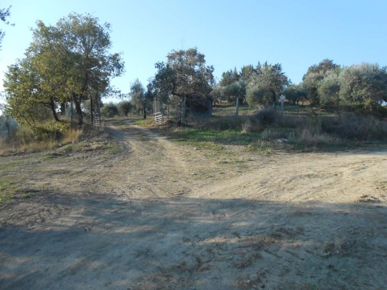 Migliano, ,Farmhouse,For Sale,1017