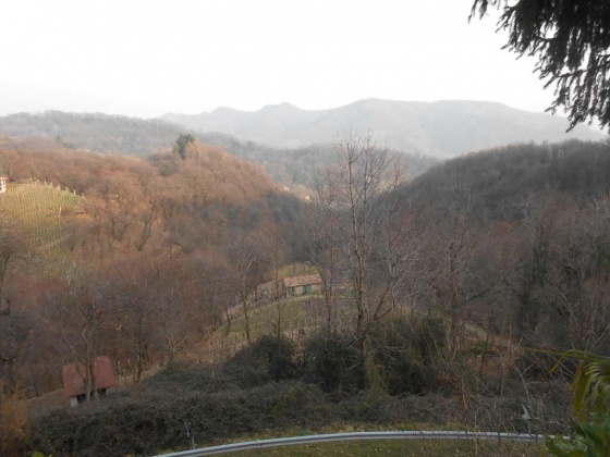 Valdobbiadene, ,Rural Estate,For Sale,1018