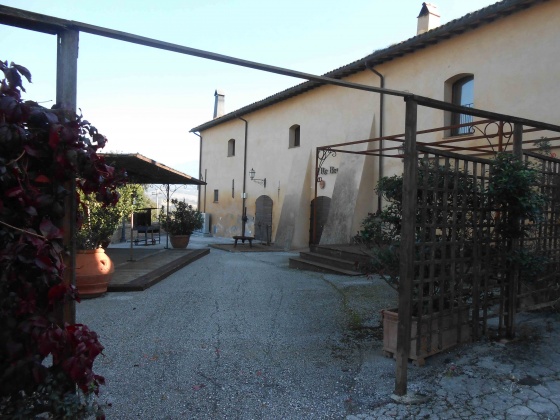 Acquasparta, ,Rural Estate,For Sale,1019