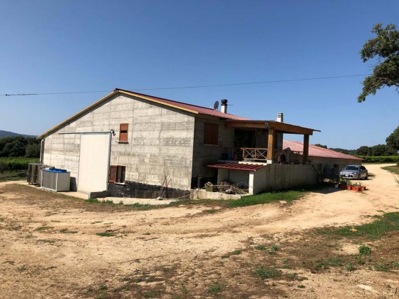 Berchidda, ,Rural Estate,For Sale,1021