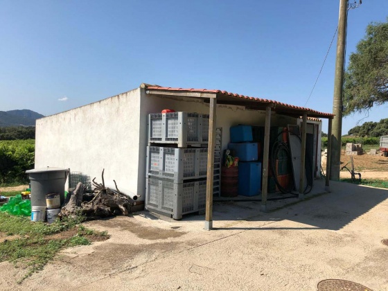 Berchidda, ,Rural Estate,For Sale,1021