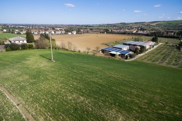 Terra del Sole, 6 Bedrooms Bedrooms, 9 Rooms Rooms,5 BathroomsBathrooms,Farmhouse,For Sale,1002