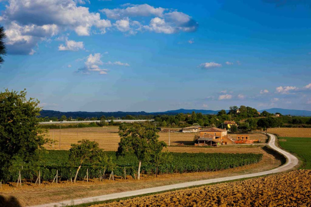 Montepulciano, ,Rural Estate,For Sale,1102