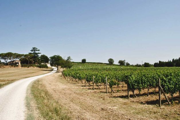 Montepulciano, ,Rural Estate,For Sale,1102