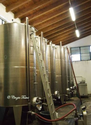 Valle Versa, ,Rural Estate,For Sale,1103