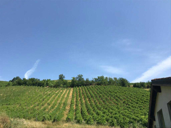 Valle Versa, ,Rural Estate,For Sale,1103