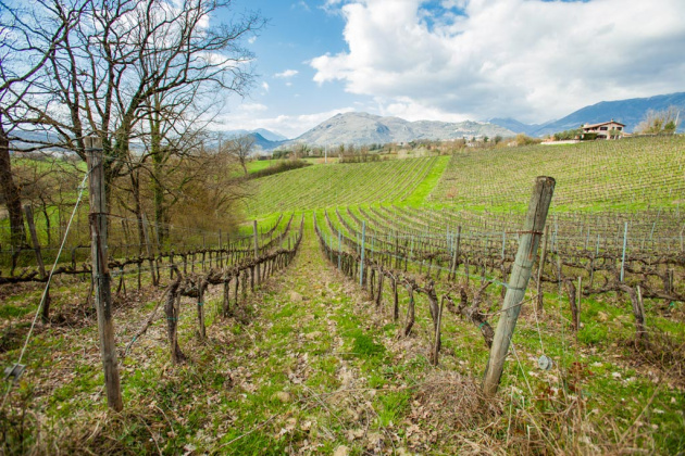 Sora, ,Rural Estate,For Sale,1104