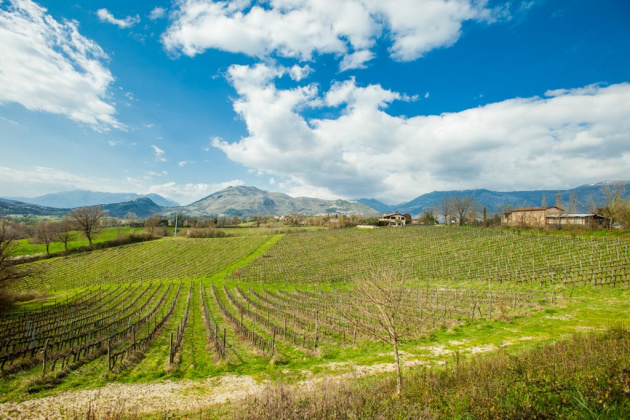 Sora, ,Rural Estate,For Sale,1104
