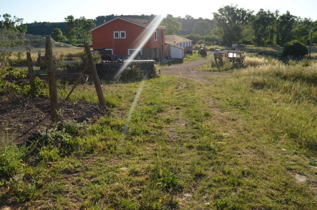 montalto di castro, ,Rural Estate,For Sale,1033