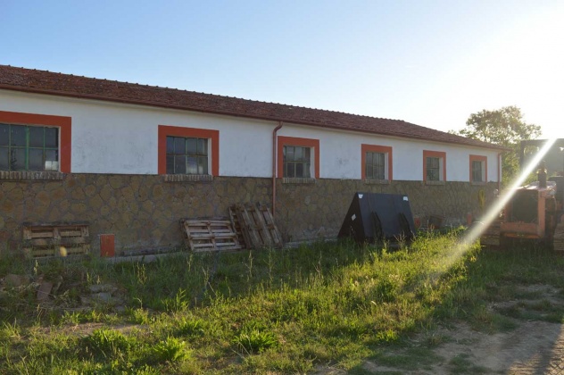 montalto di castro, ,Rural Estate,For Sale,1033