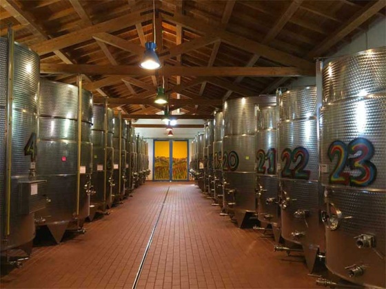 Torre salsa, ,Cellar and Vineyard,For Sale,1035