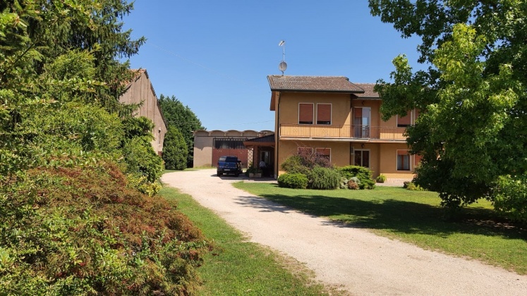 Palazzo Vecchio, ,Rural Estate,For Sale,1038