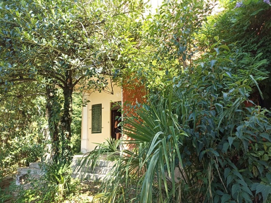 Asolo, ,Rural Estate,For Sale,1040