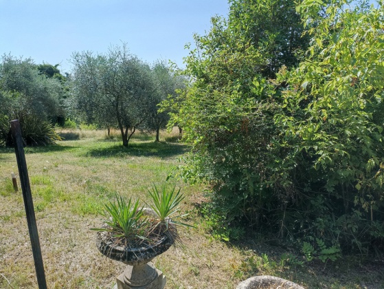 Asolo, ,Rural Estate,For Sale,1040