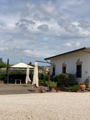 Albano, ,Cellar and Vineyard,For Sale,1041