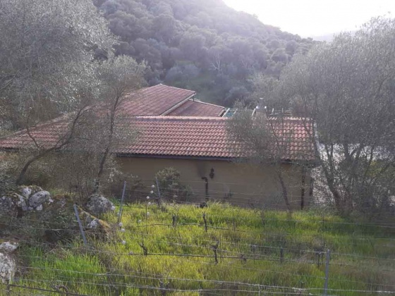 Olbia, ,Rural Estate,For Sale,1043