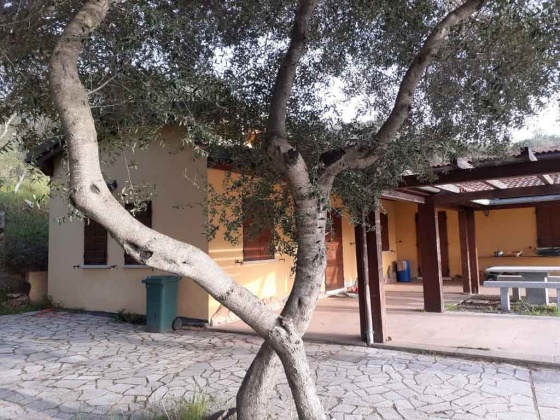 Olbia, ,Rural Estate,For Sale,1043