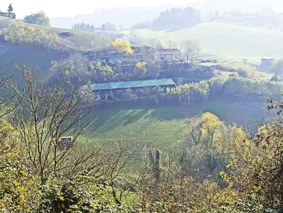 Petritoli, ,Rural Estate,For Sale,1048