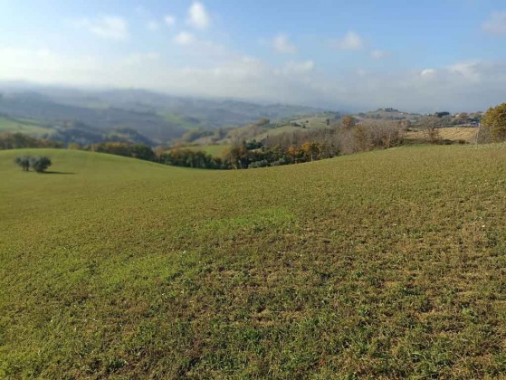 Petritoli, ,Rural Estate,For Sale,1048