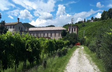 Farra di Soligo, 8 Bedrooms Bedrooms, 4 Rooms Rooms,5 BathroomsBathrooms,Cellar and Vineyard,For Sale,1004