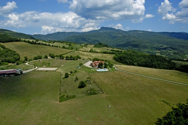 Bibbiena, ,Farmhouse,For Sale,1049