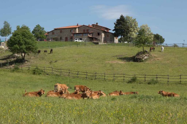 Bibbiena, ,Farmhouse,For Sale,1049