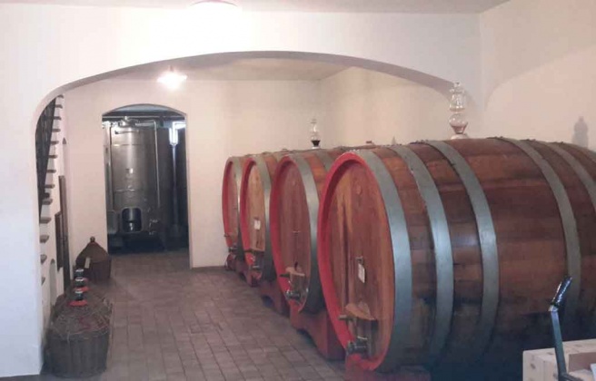 Barolo, ,Farmhouse,For Sale,1051