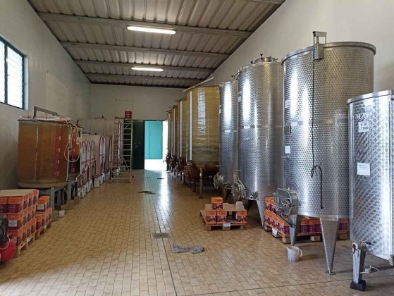 Cinto Caomaggiore, ,Cellar and Vineyard,For Sale,1055