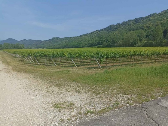 Soler di Cison di Valmarino, ,Rural Estate,For Sale,1057