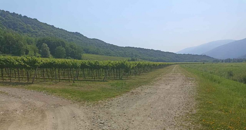 Soler di Cison di Valmarino, ,Rural Estate,For Sale,1057