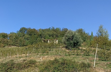 Refrontolo, ,Rural Estate,For Sale,1063
