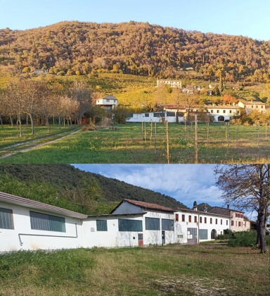 UNESCO hills of Conegliano Valdobbiadene
