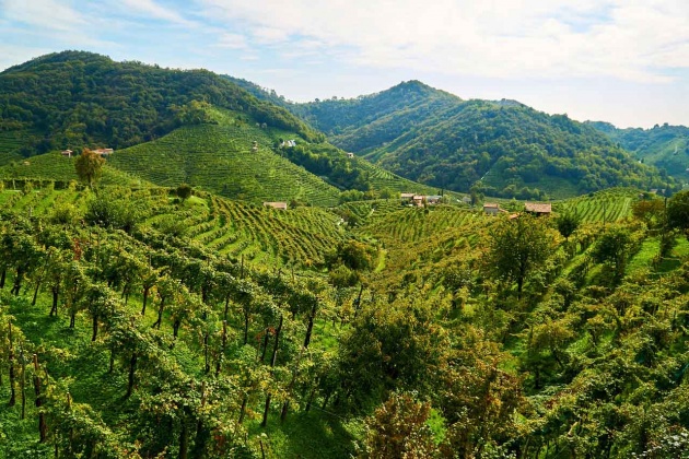 UNESCO hills of Conegliano Valdobbiadene