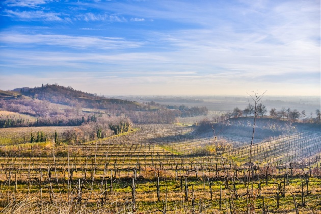 Colline del Collio FVG