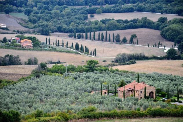 Siena-Firenze, ,Rural Estate,Vacation Rental,1066