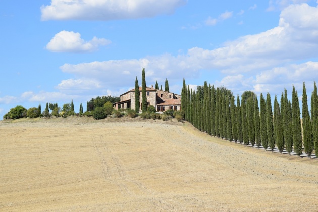 Siena-Firenze, ,Rural Estate,Vacation Rental,1066