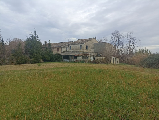 Petritoli, ,Farmhouse,For Sale,1070