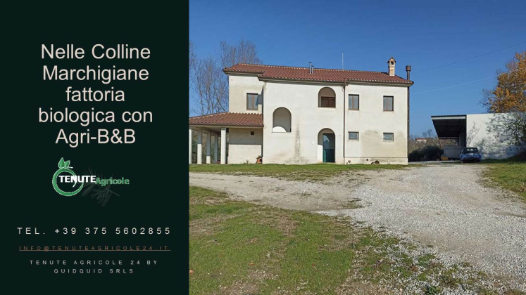 Petritoli, ,Farmhouse,For Sale,1070