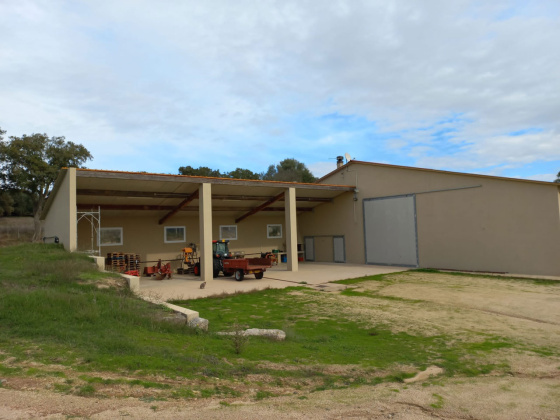 Berchidda, ,Farmhouse,For Sale,1072