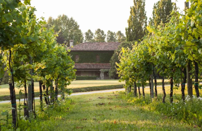 Moruzzo, ,Rural Estate,For Sale,1077